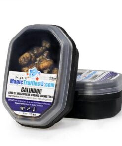 10 Gram Galindoii Magic Truffles: A Psychedelic Delight for Mind Exploration