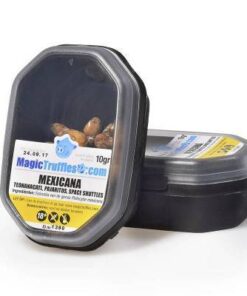 10 GRAMS – MEXICANA – MAGIC TRUFFLES