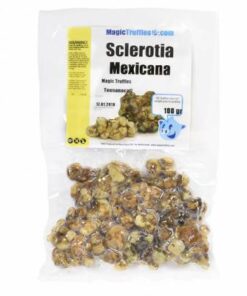 100 GRAMS – MEXICANA – XL FAMILY PACK