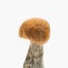 Buy Vietnamese Mushroom Strain Online Shipping illinois