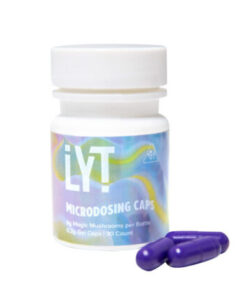 MAGIC MUSHROOM CAPSULES 6G’S – LYT