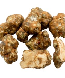 10 GRAMS – TAMPANENSIS – MAGIC TRUFFLES