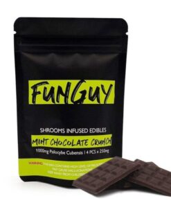 Mint Chocolate Crunch | FunGuy