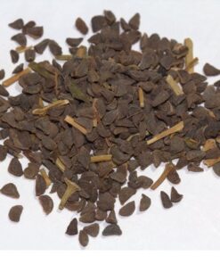 Peganum harmala seeds | Syrian Rue