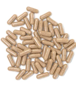 Microdose Psilocybin Capsules